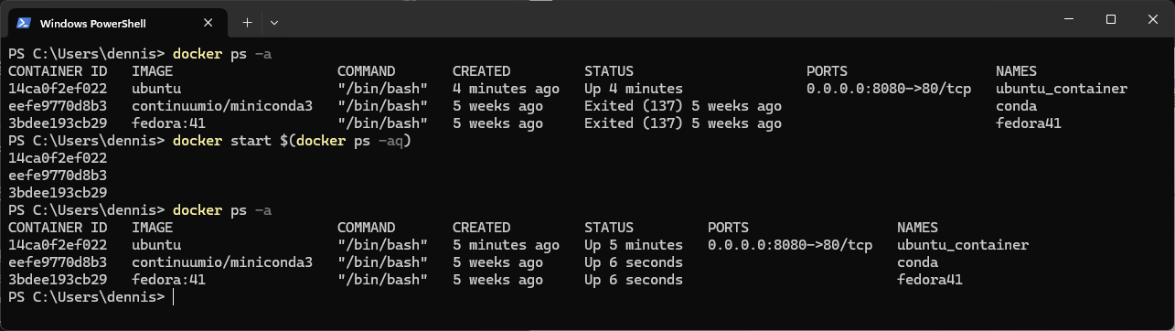docker command sub