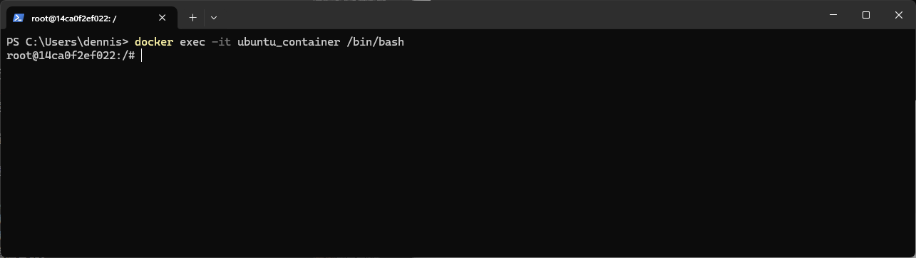 docker exec binbash