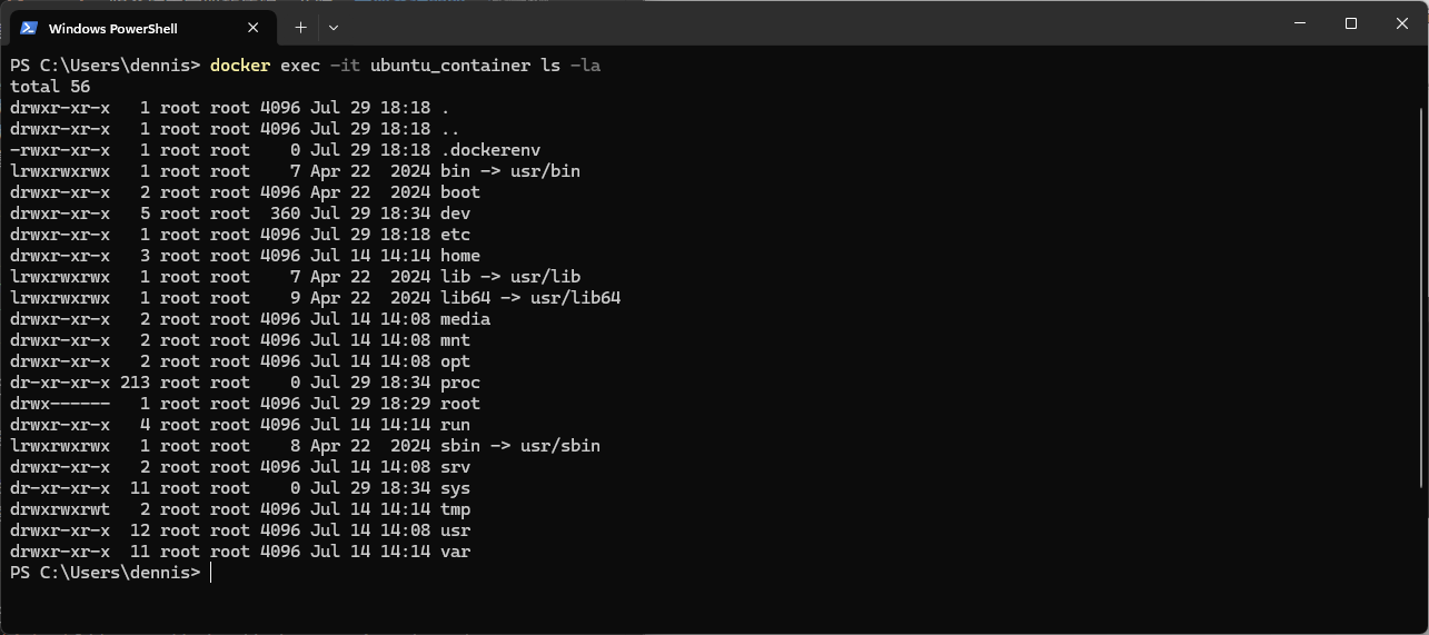 docker exec ls -la