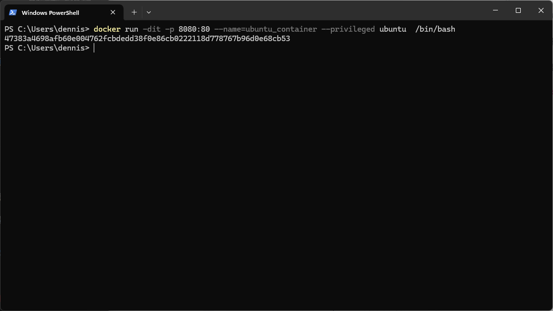 docker run ….
