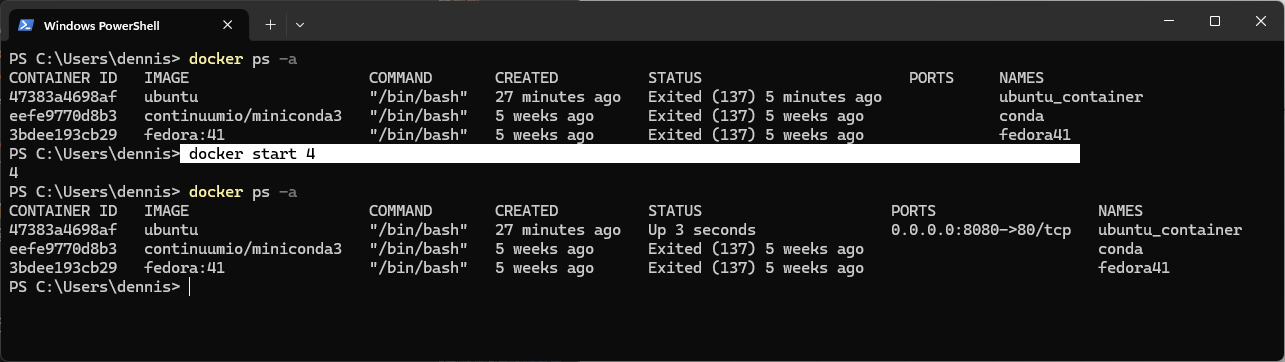 docker start